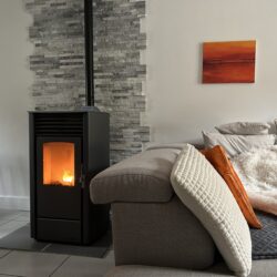 Atelier « Bonnes pratiques chauffage au bois · Appareil à granulés »