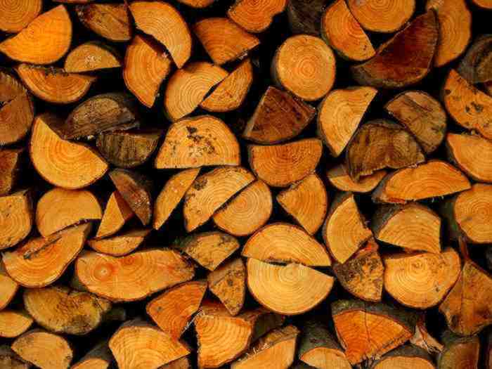 Conférence Vienne Condrieu « Plein feu sur le chauffage au bois » à Jardin